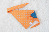 Fishing Lures on Blue Bandana