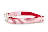 Red Seersucker Collar