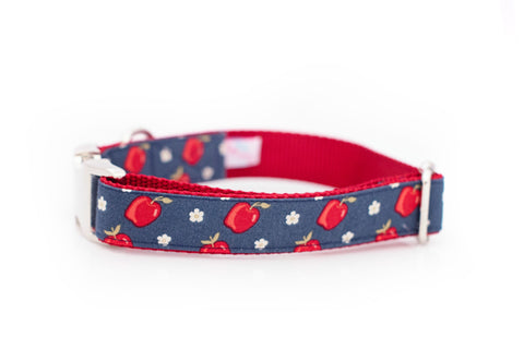 Delicious Apple Collar