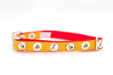 Camping Badges Collar