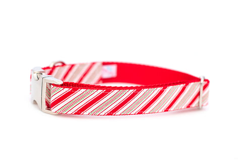 Candy Cane Stripe Collar