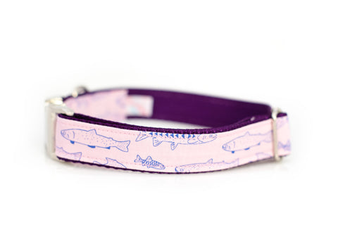 Fish on Pink Collar