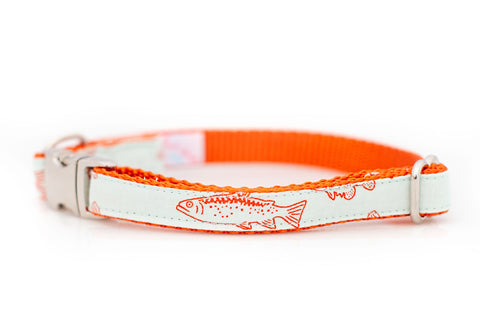 Fish on Orange Collar