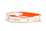 Fish on Orange Collar