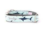 Sharks on Aqua Collar