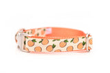 Peachy Collar
