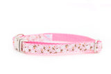 Ditzy White Flowers on Pink Collar