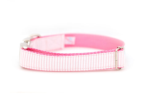 Pink Seersucker Collar