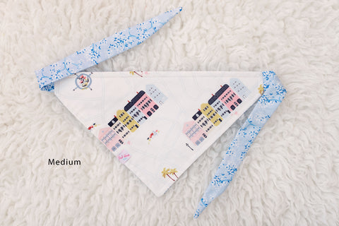 Rainbow Row Dog Bandana