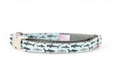 Sharks on Aqua Collar