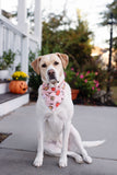 Apple Pie Bandana