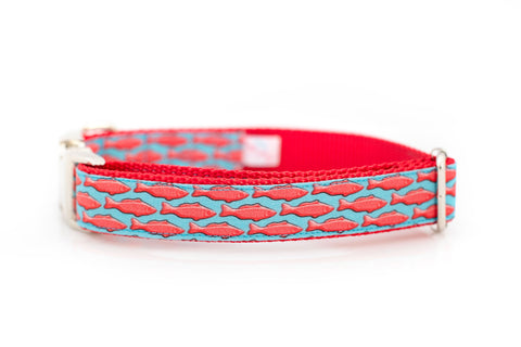 Swedish Fish Collar