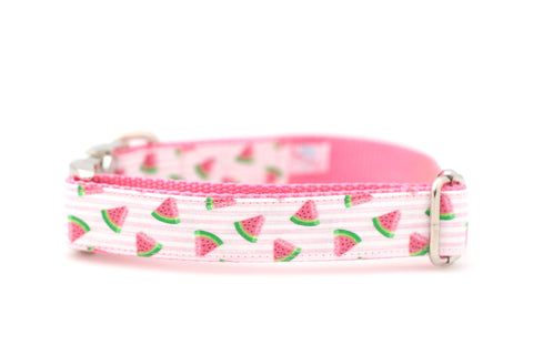 Watermelon on Pink Stripes Collar