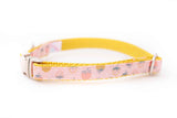 Strawberries in Pink and Gold Collar