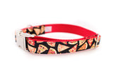 Pizza Dog Collar