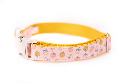 Strawberries in Pink and Gold Collar
