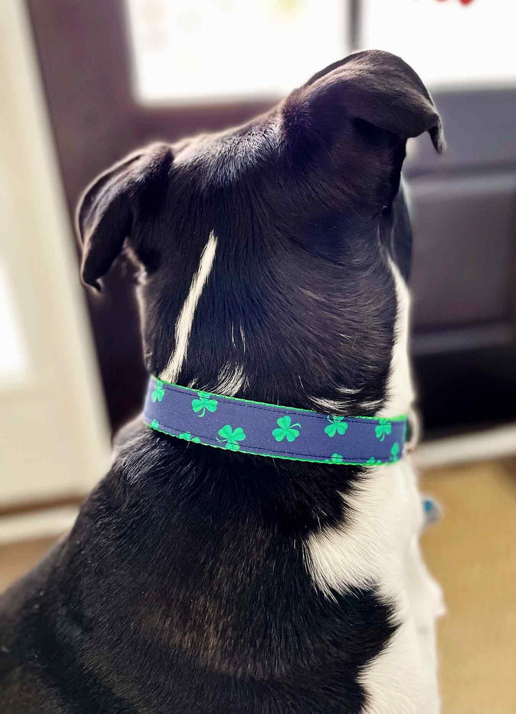 Up Country Navy Shamrock Dog Collar – Adjustable Nylon, Made In USA (XS To XXL)