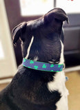 Green Shamrocks on Navy Collar