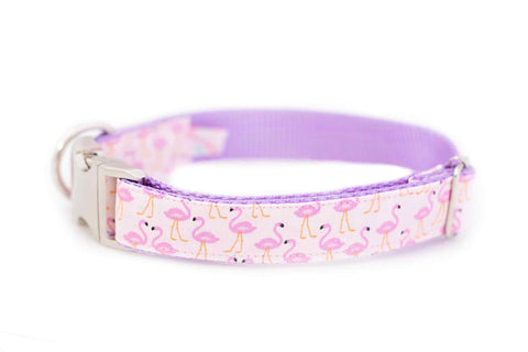 Pink Flamingos on Purple Collar