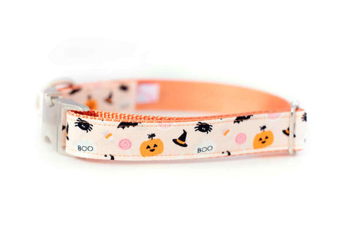 Little Boo Collar
