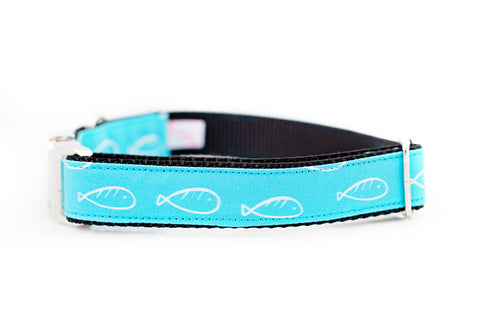 Fish Doodles Collar in Aqua