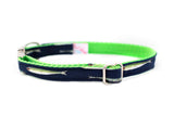 Minnow Collar