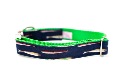 Minnow Collar