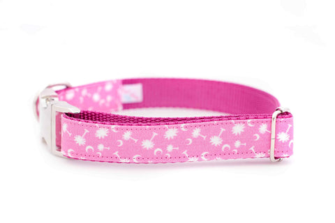 Palmetto Moon on Pink Collar