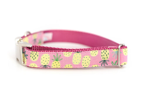 Pineapples on Pink Collar